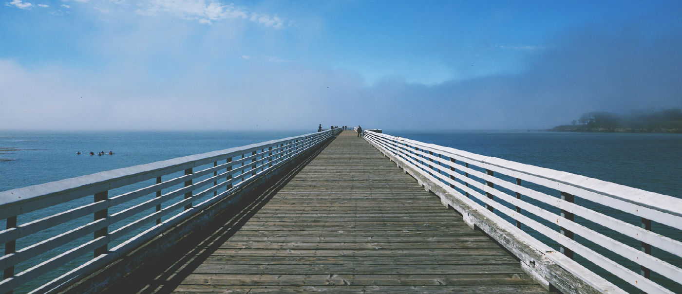 An endless boardwalk.