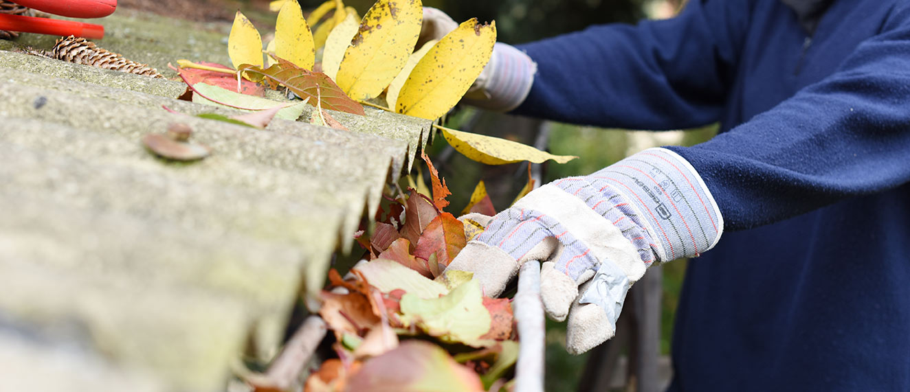 Person cleaning leaves out of a gutter