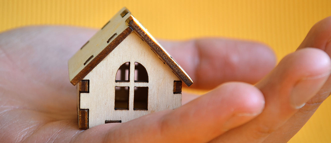 Tiny wooden house in hands