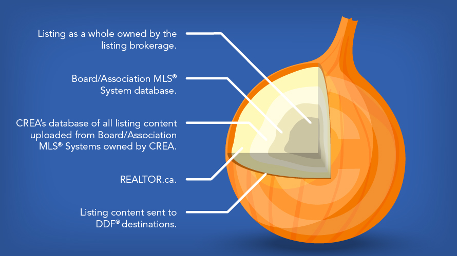 Graphic of copyright law. 