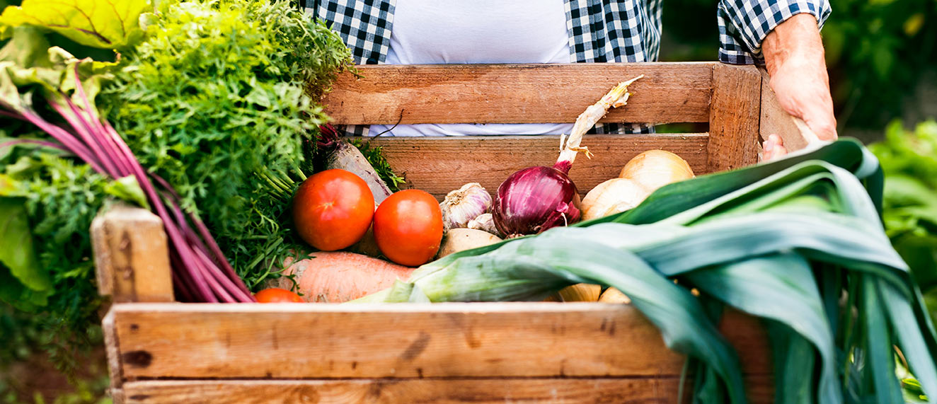 Farmer holding box of vegetables.