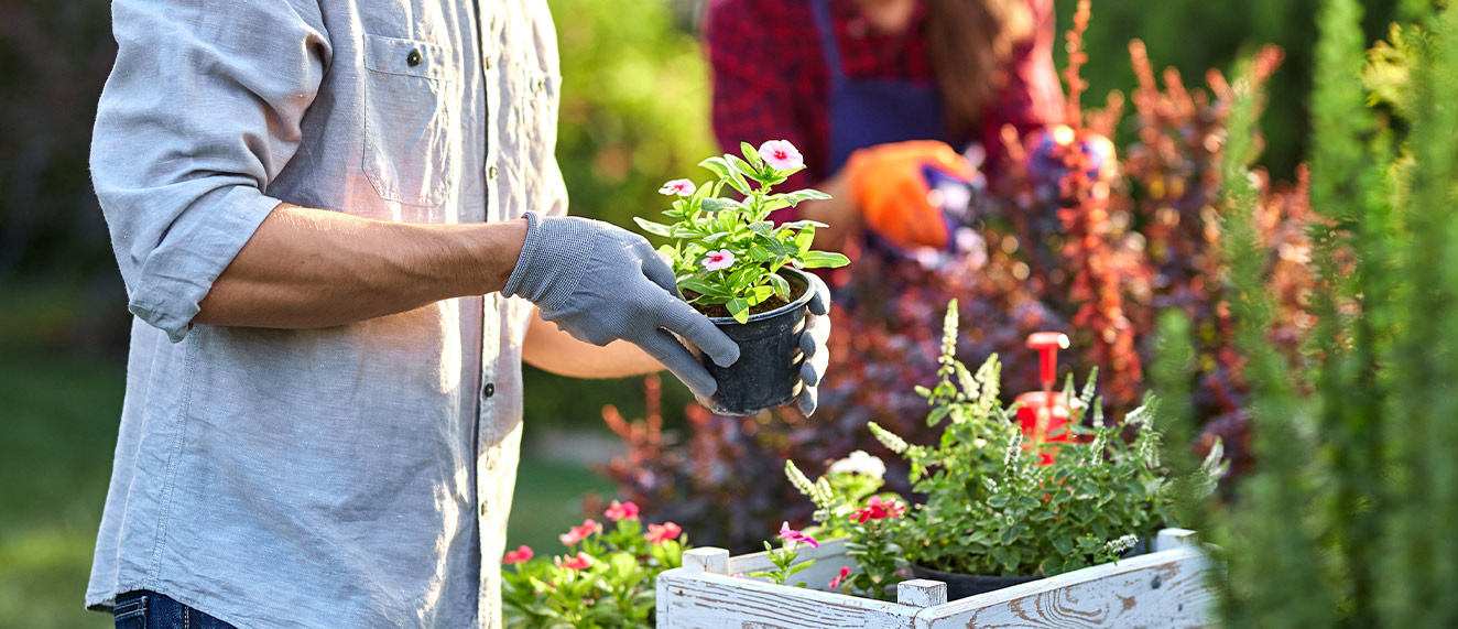 gardening