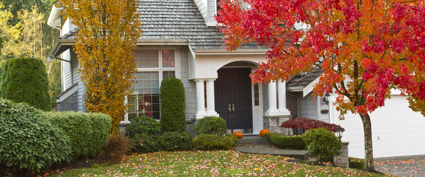 Fall house