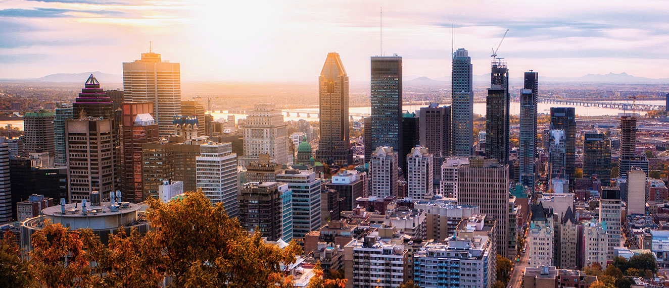 Fall skyline