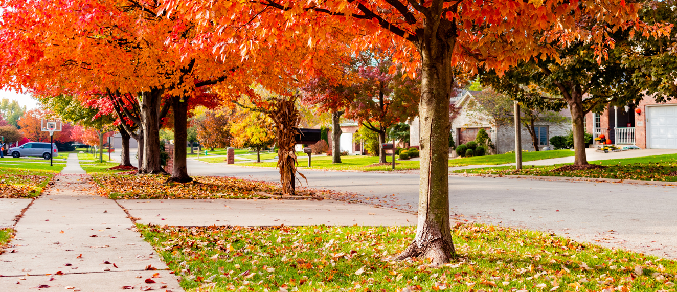 Autumn neighbourhood