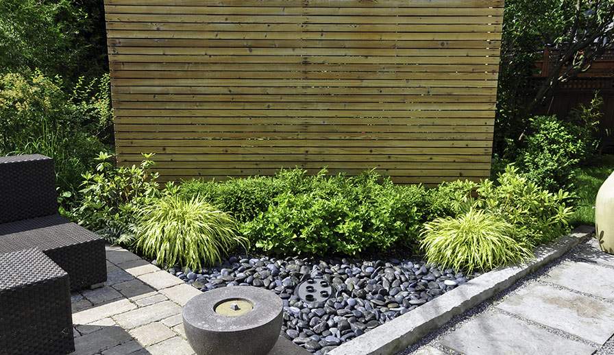 Privacy screen in backyard.