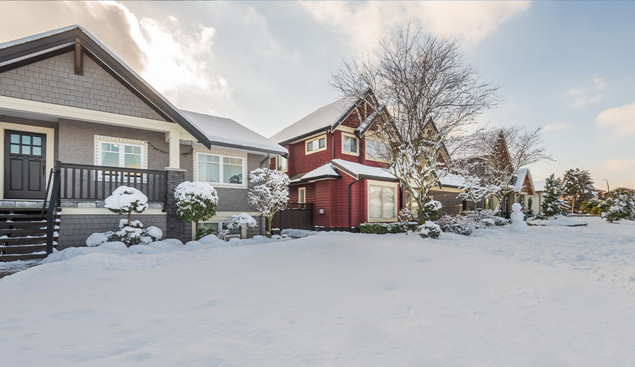 Houses in the winter