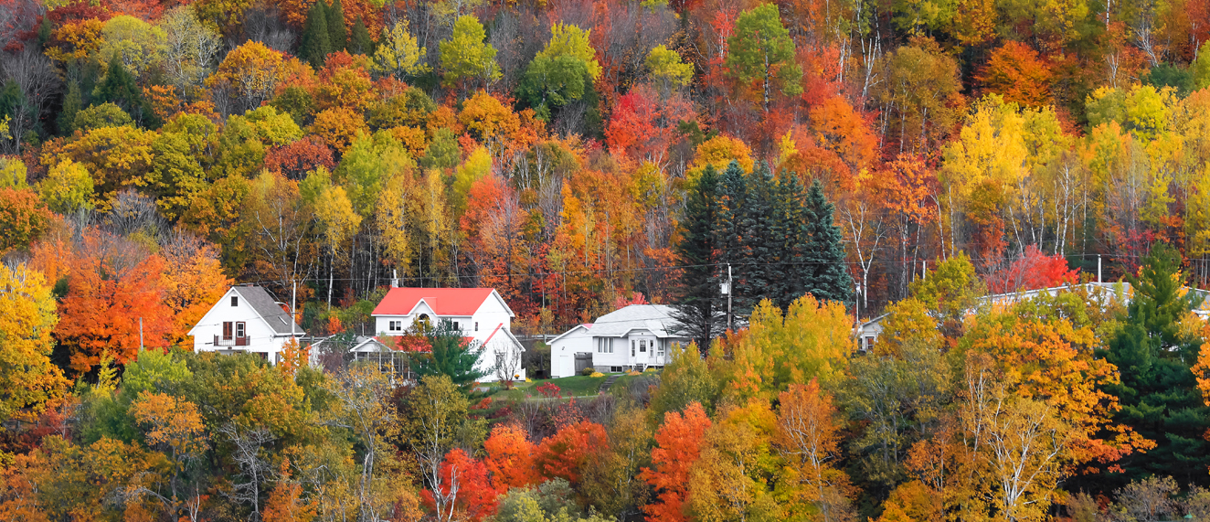 Fall leaves, homes