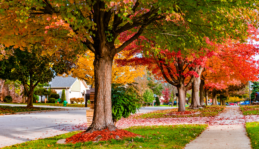 Fall street