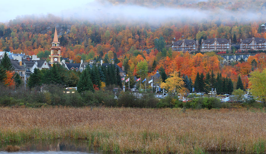 fall houses