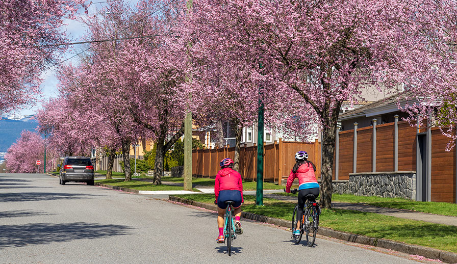 spring houses