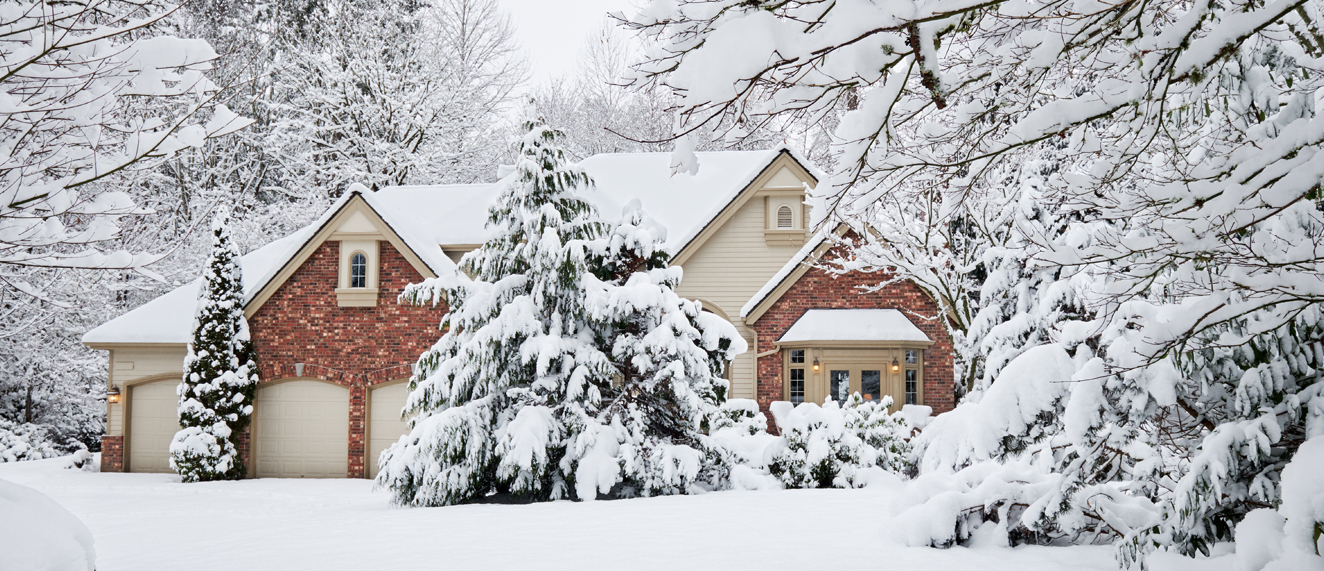 Winter home