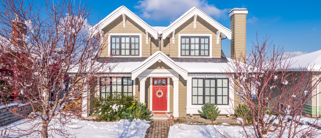 Winter landscaping