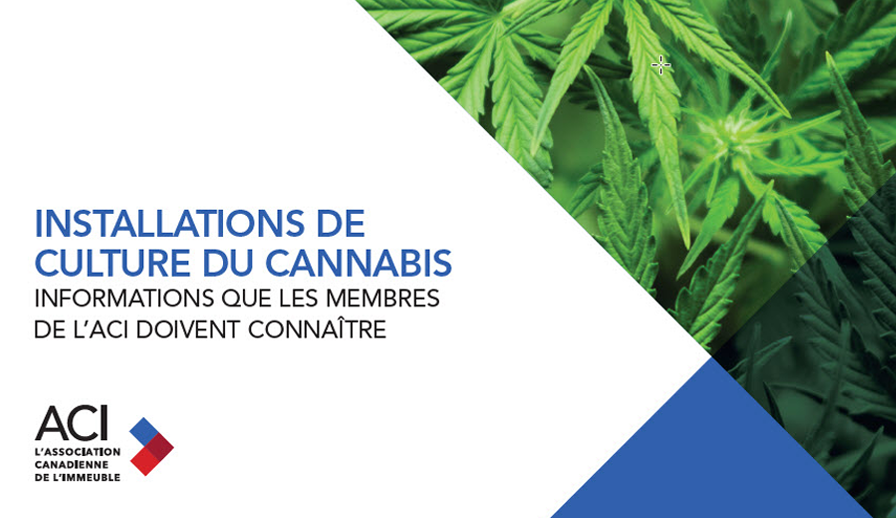 Installations de culture du cannabis