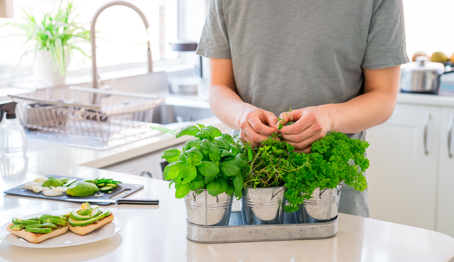 herb garden