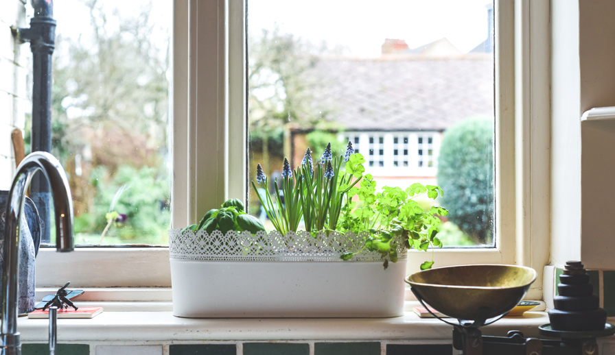 herb garden