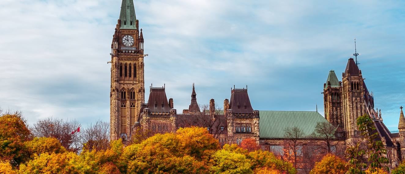 Parliament with fall leaves.