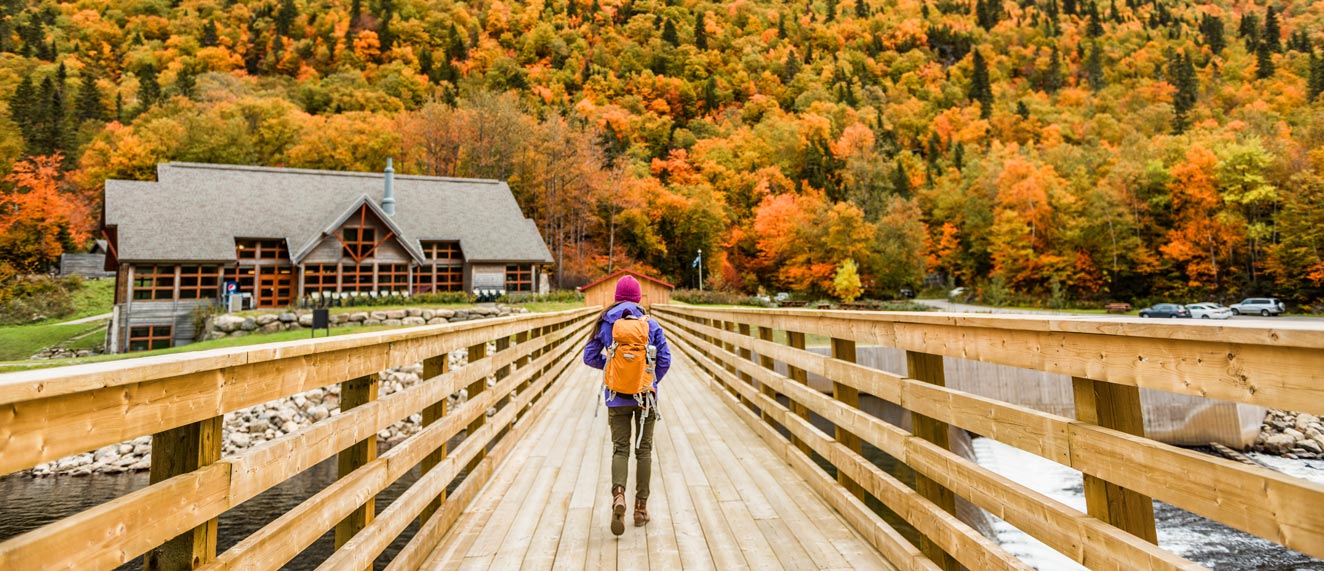 Woman walking toward fall trees.