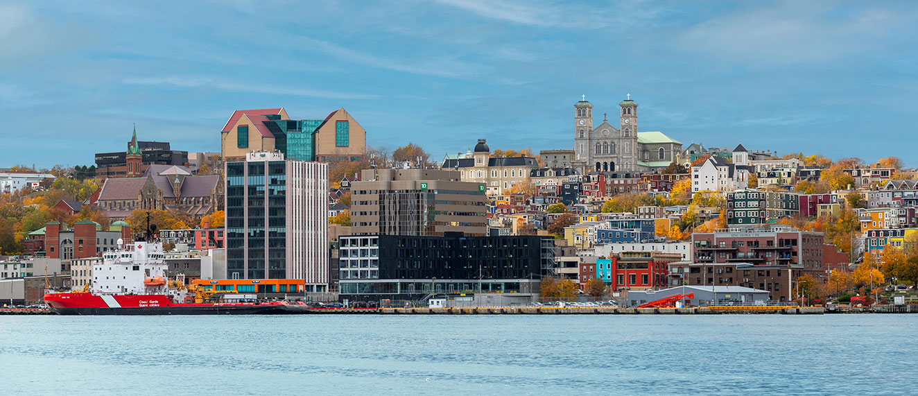 St John's shoreline.