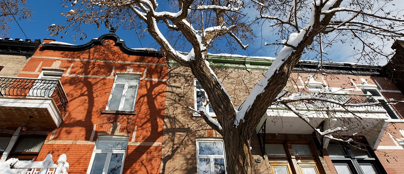 Spring, snowy roof tops.