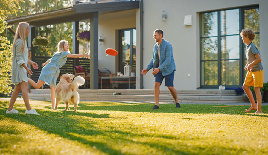 Dog and man playing in backyard.