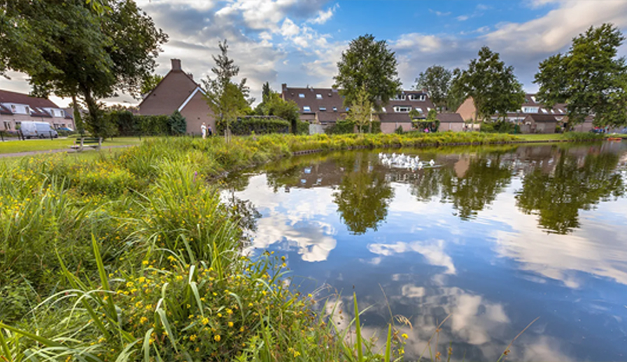 Pond in middle of a neighbourhood.