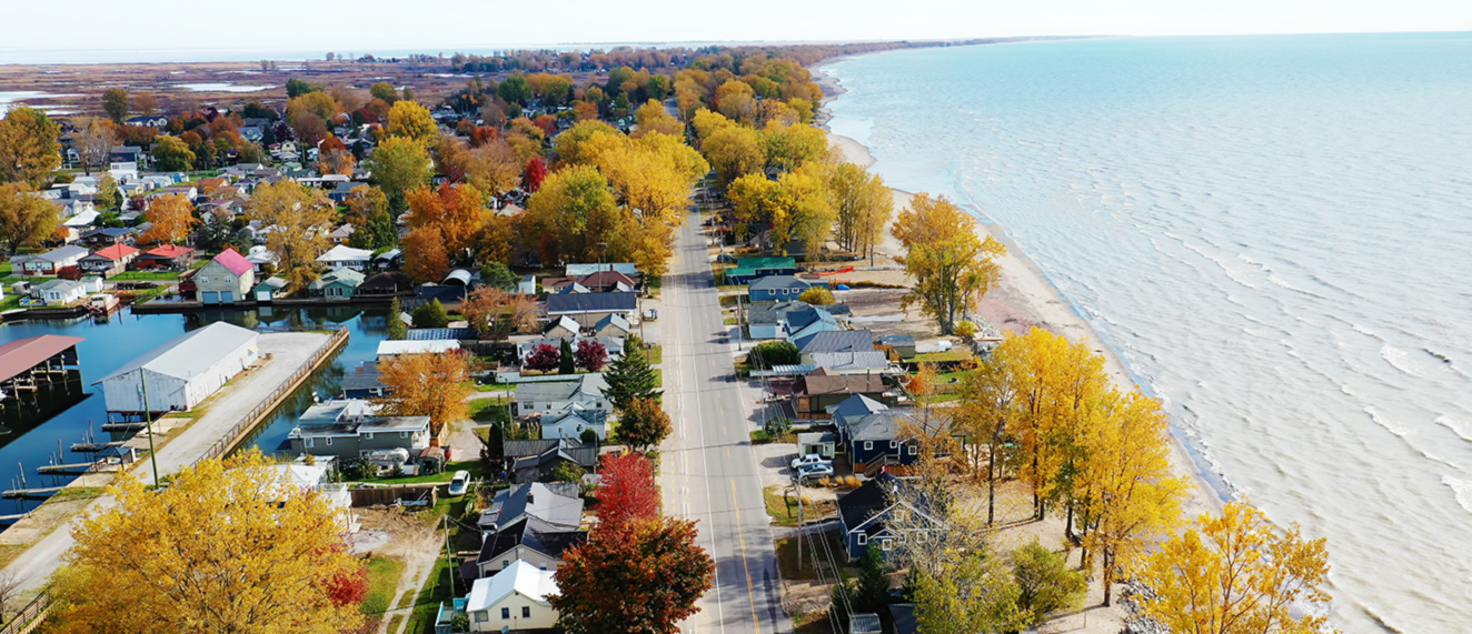 Overhead view of neighbourhood in the autumn.