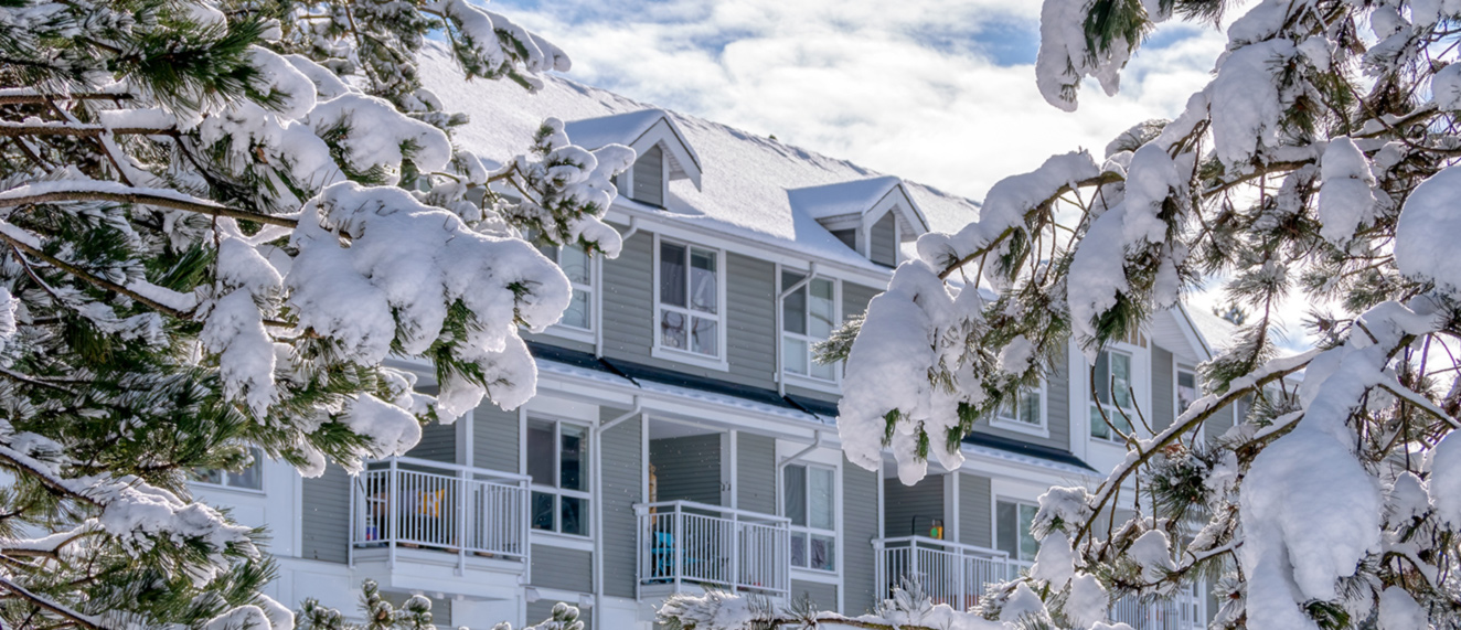 Apartment building covered in snow with trees in foreground.