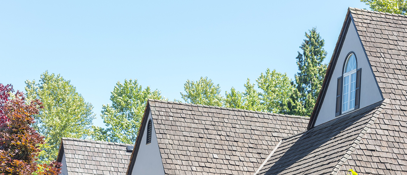 Suburban home roofs. 